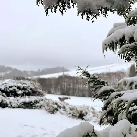 Haus Am Wald شقة *