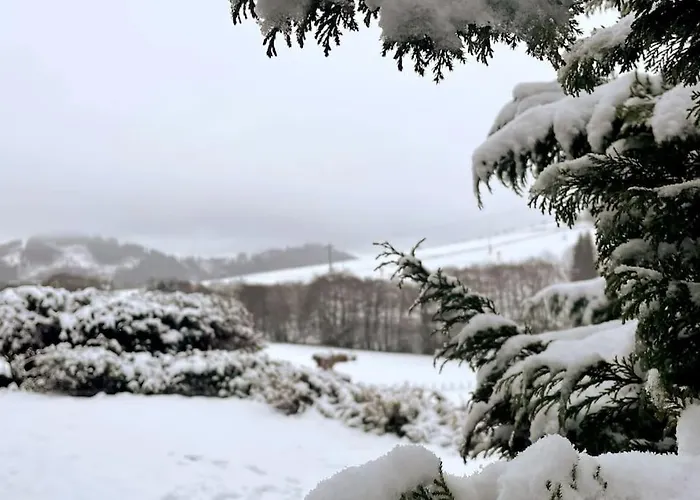 Haus Am Wald Lägenhet *